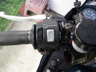 DSC_0268.JPG