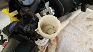 DSC_0857.JPG