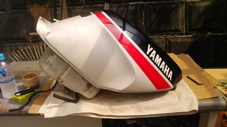 DSC_1239.JPG