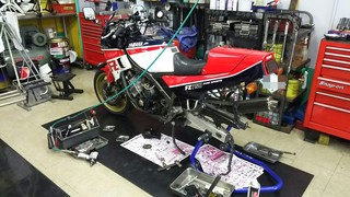 IMG_20160328_175328.jpg